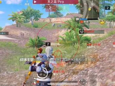 和平精英怎么开外挂vivo手机（和平精英怎么设置外挂vivo手机）